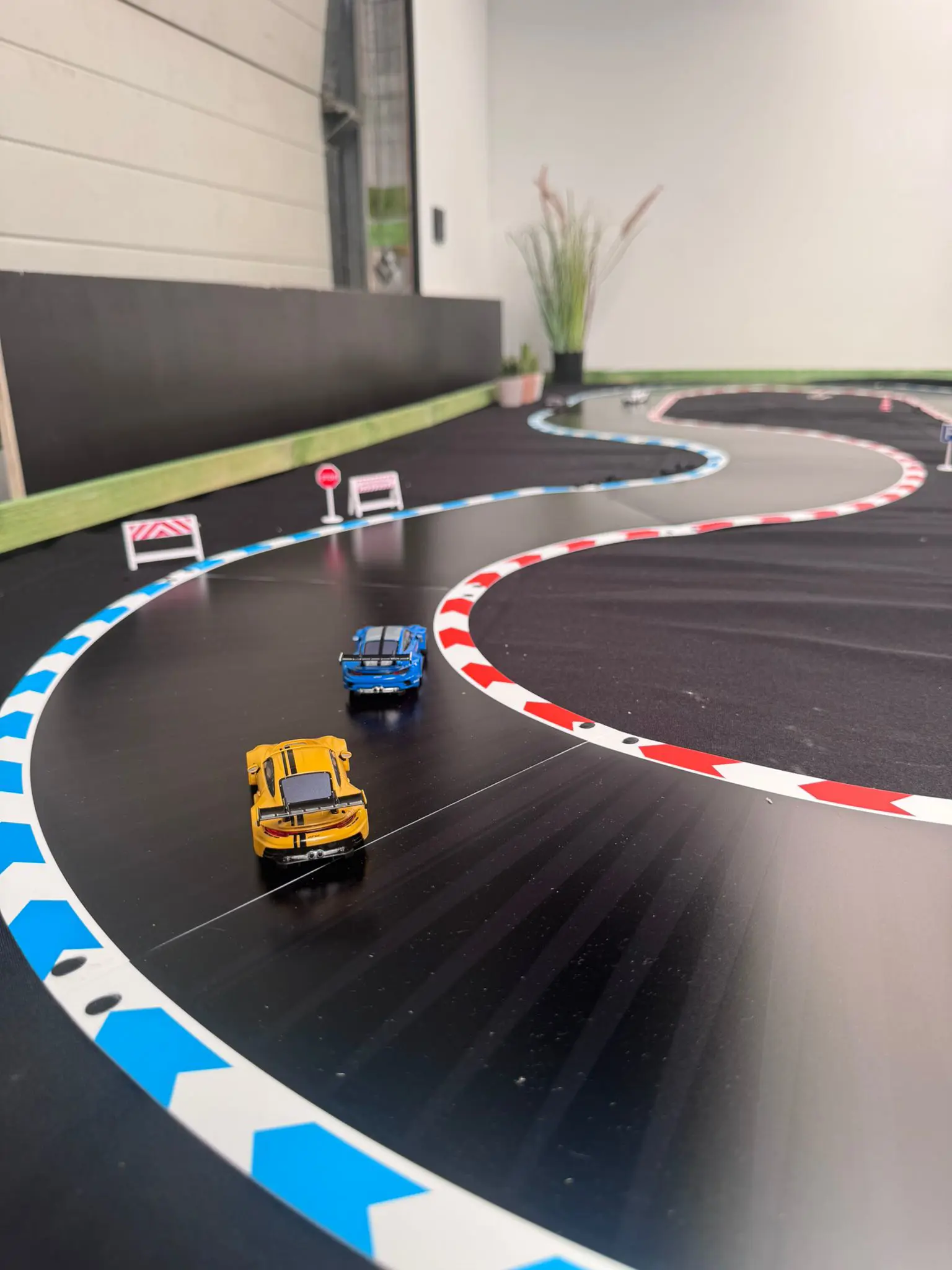 rc race fun